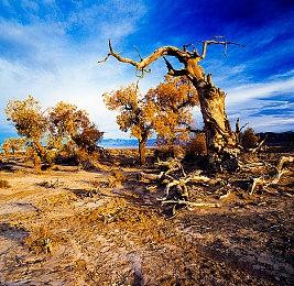 《采石场惊魂》使用了复联3特效技术 让角色更逼真