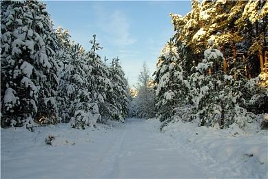 哈克小镇欢迎中国玩家！最新更新支持简体中文！